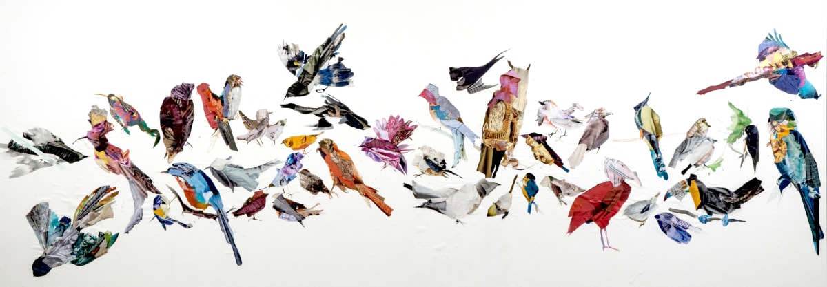 We ate the birds by Nina Fraser 