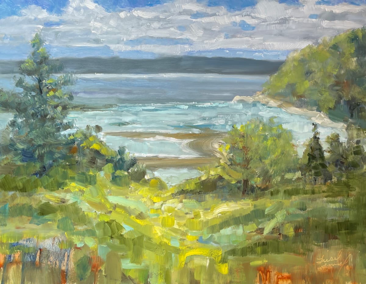 Endless Beauty of Whidbey by Liesel Lund 