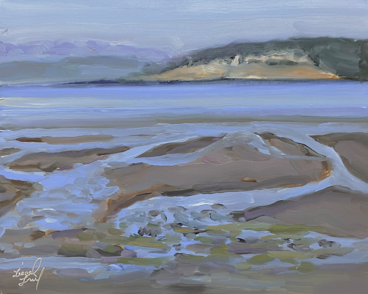 Silver Ribbons at Low Tide by Liesel Lund 
