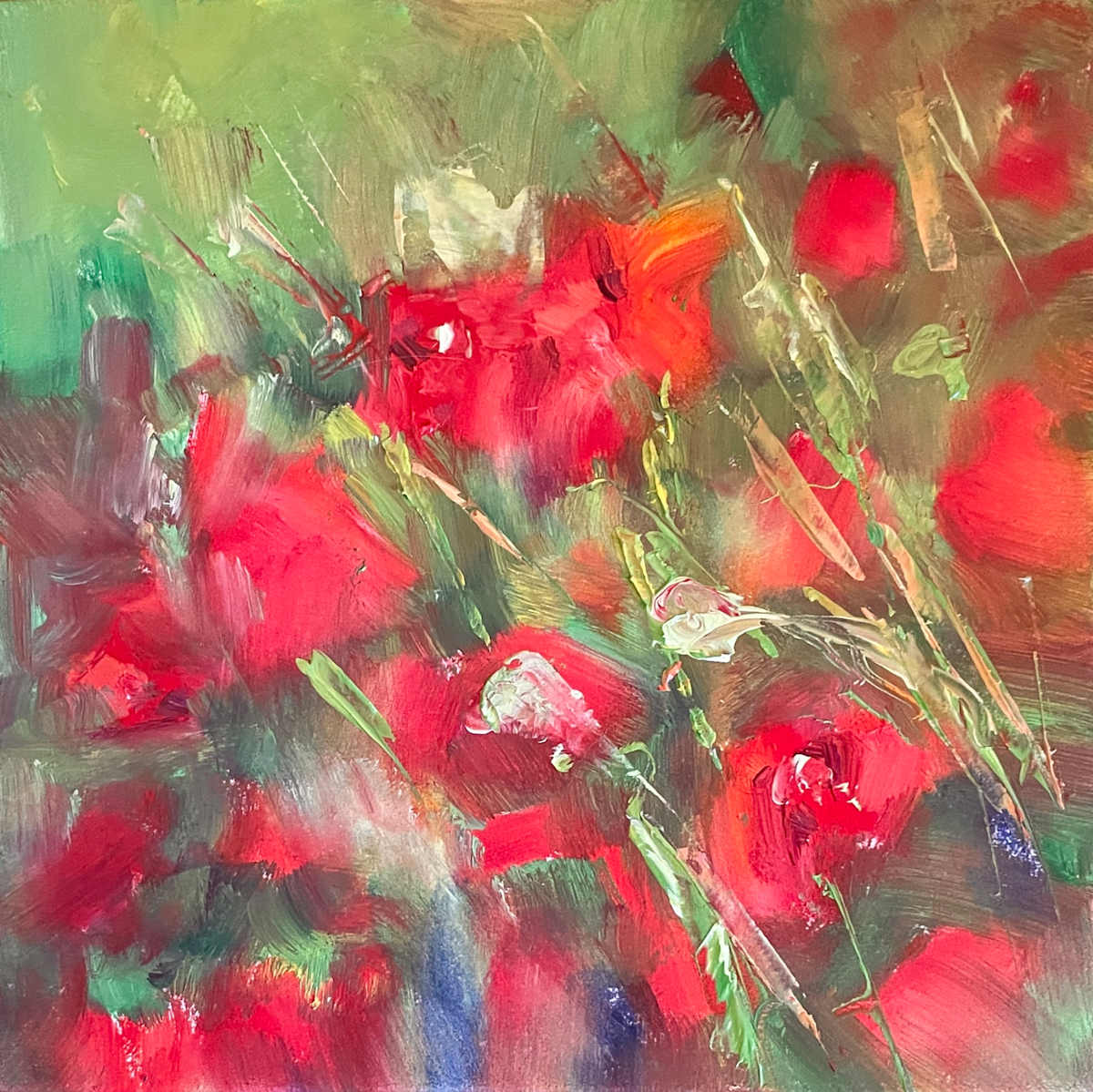 Red Poppy Explosion by Liesel Lund 