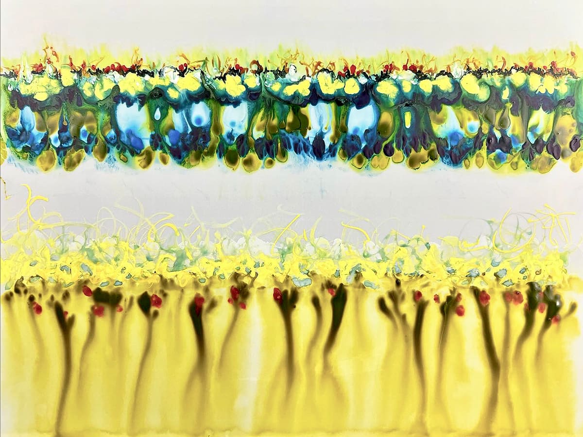 Conflict Zone 14 by Lyn Godley 