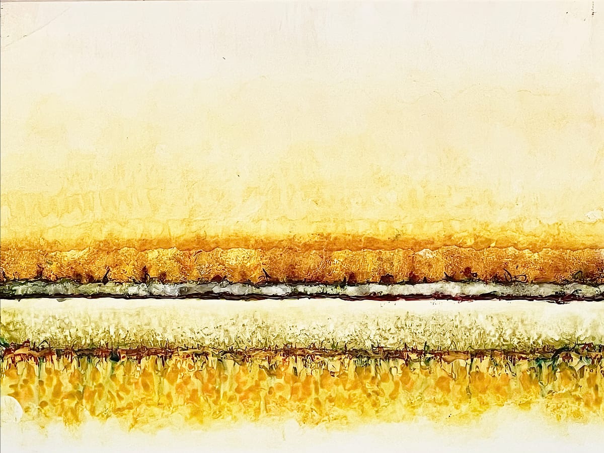 Conflict Zone 17 by Lyn Godley 