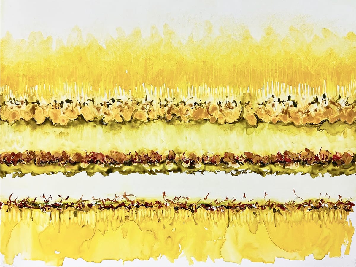 Conflict Zone 41 by Lyn Godley 