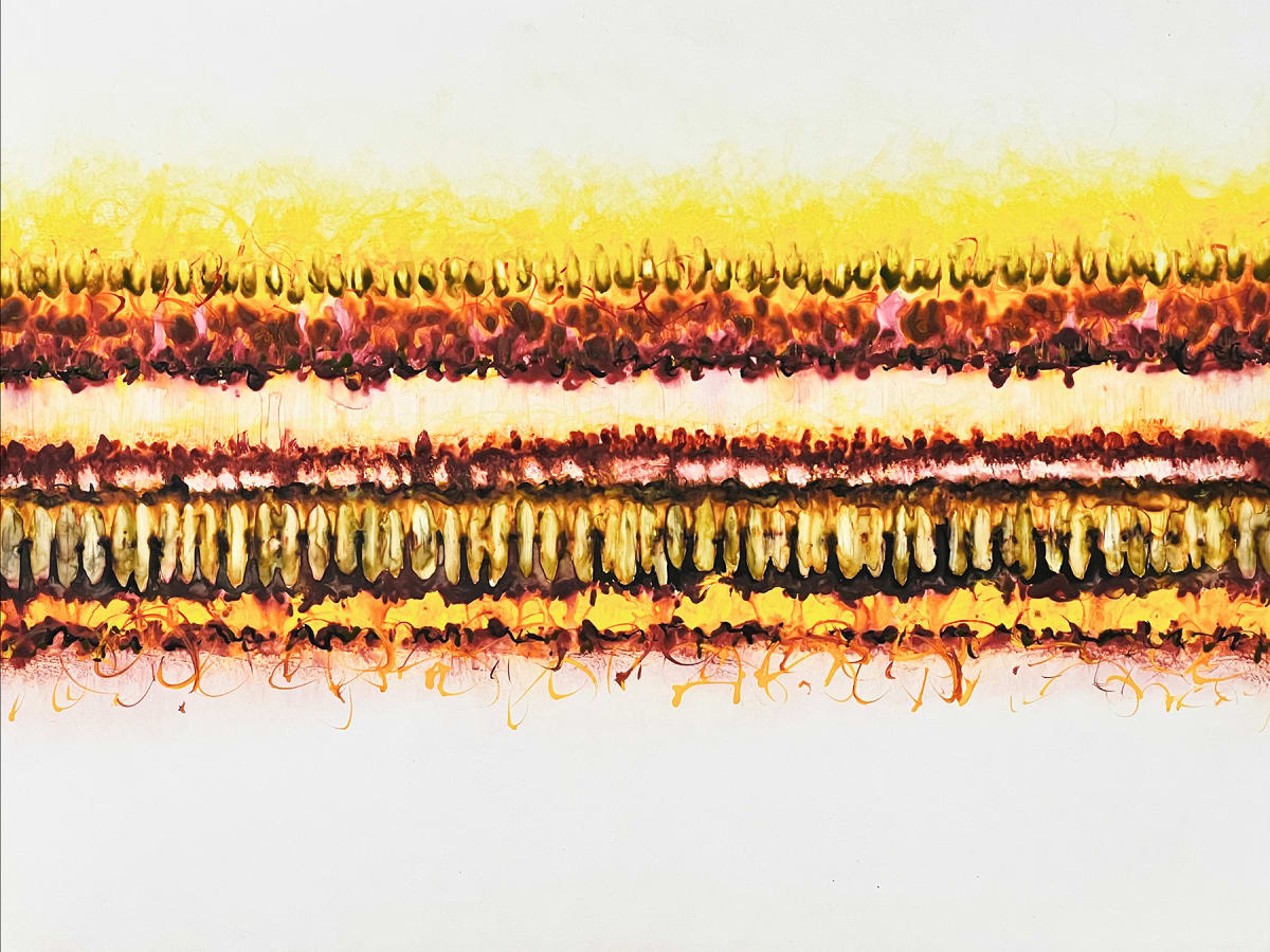 Conflict Zone 44 by Lyn Godley 