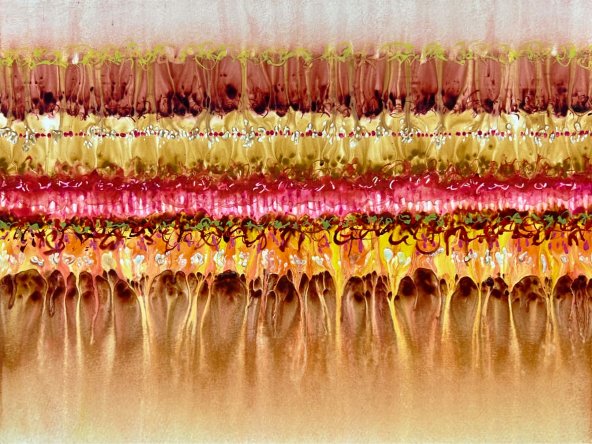 Conflict Zone 71 by Lyn Godley 