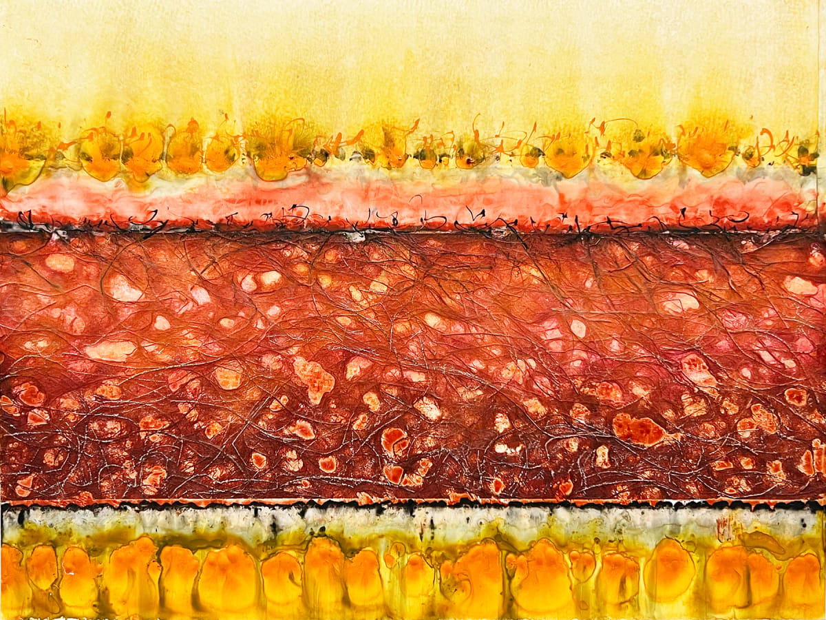 Conflict Zone 96 by Lyn Godley 