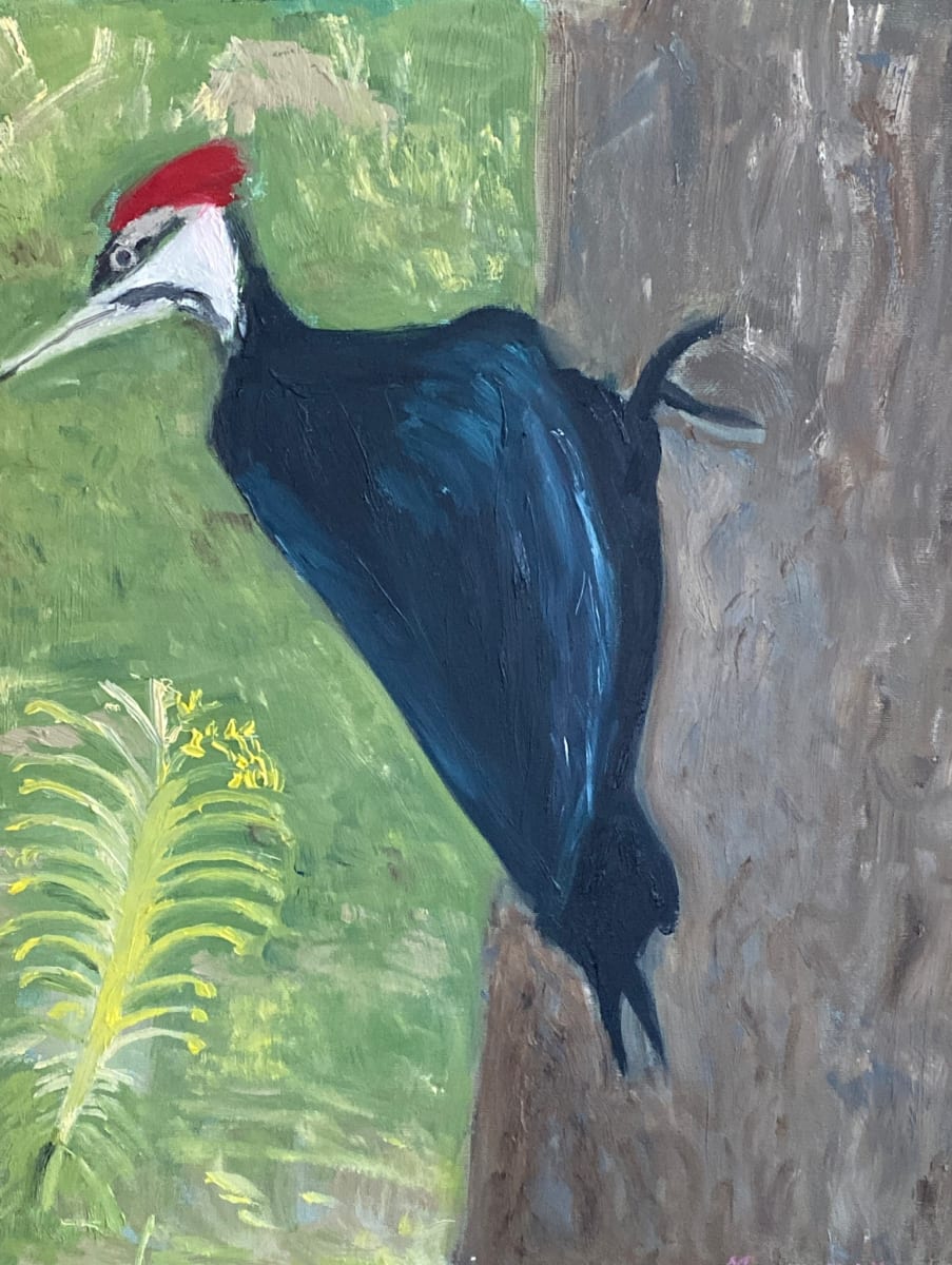 Pileated Woodpecker 