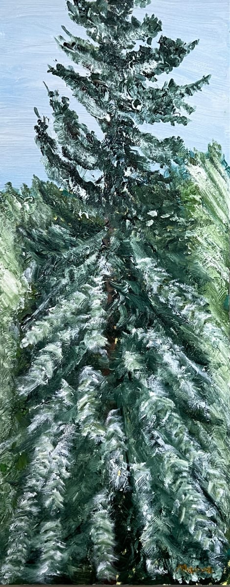 Snowy Tree by Maeva Lightheart  Image: A Snowy Day on Mayne Usland