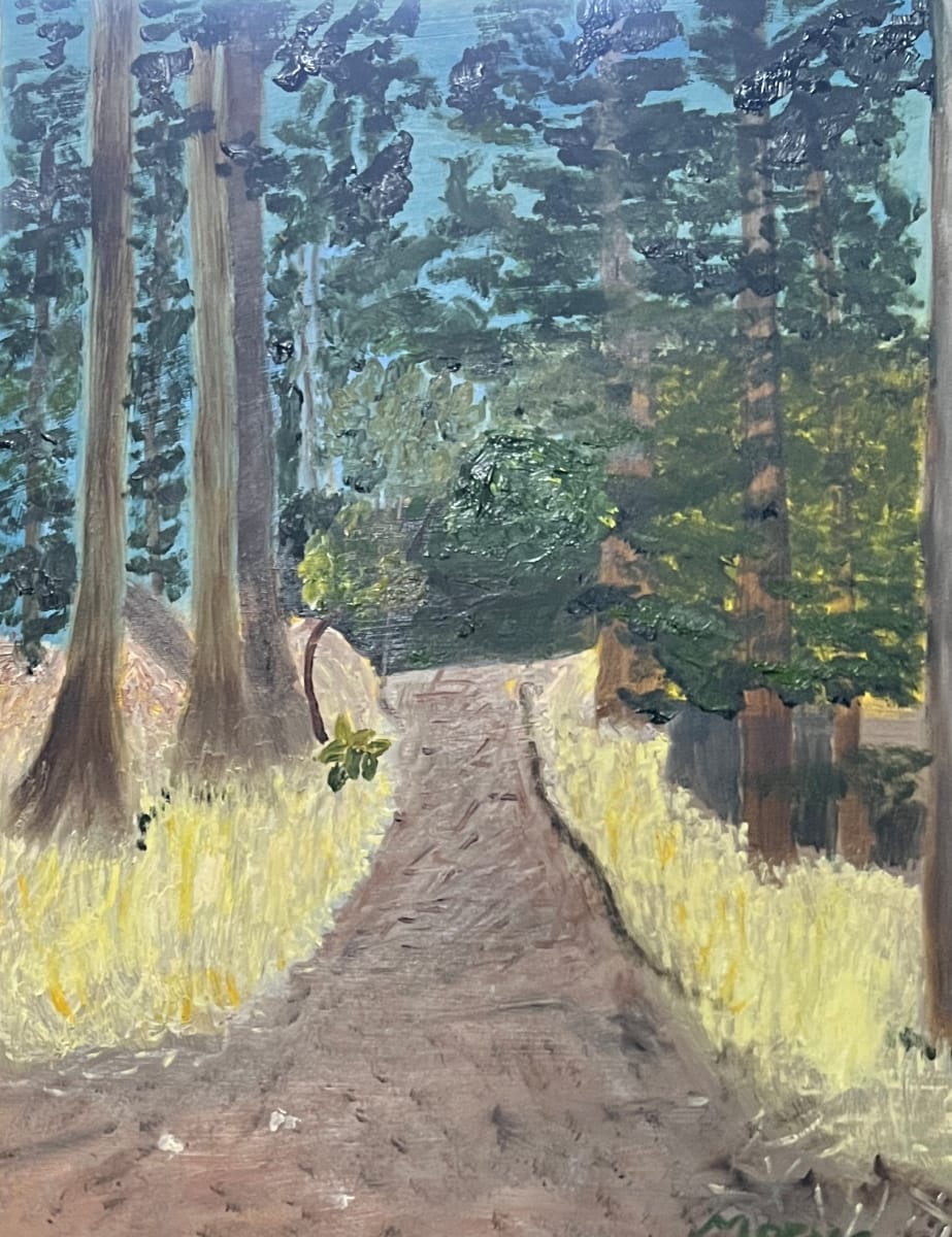 Path to the Point by Maeva Lightheart 