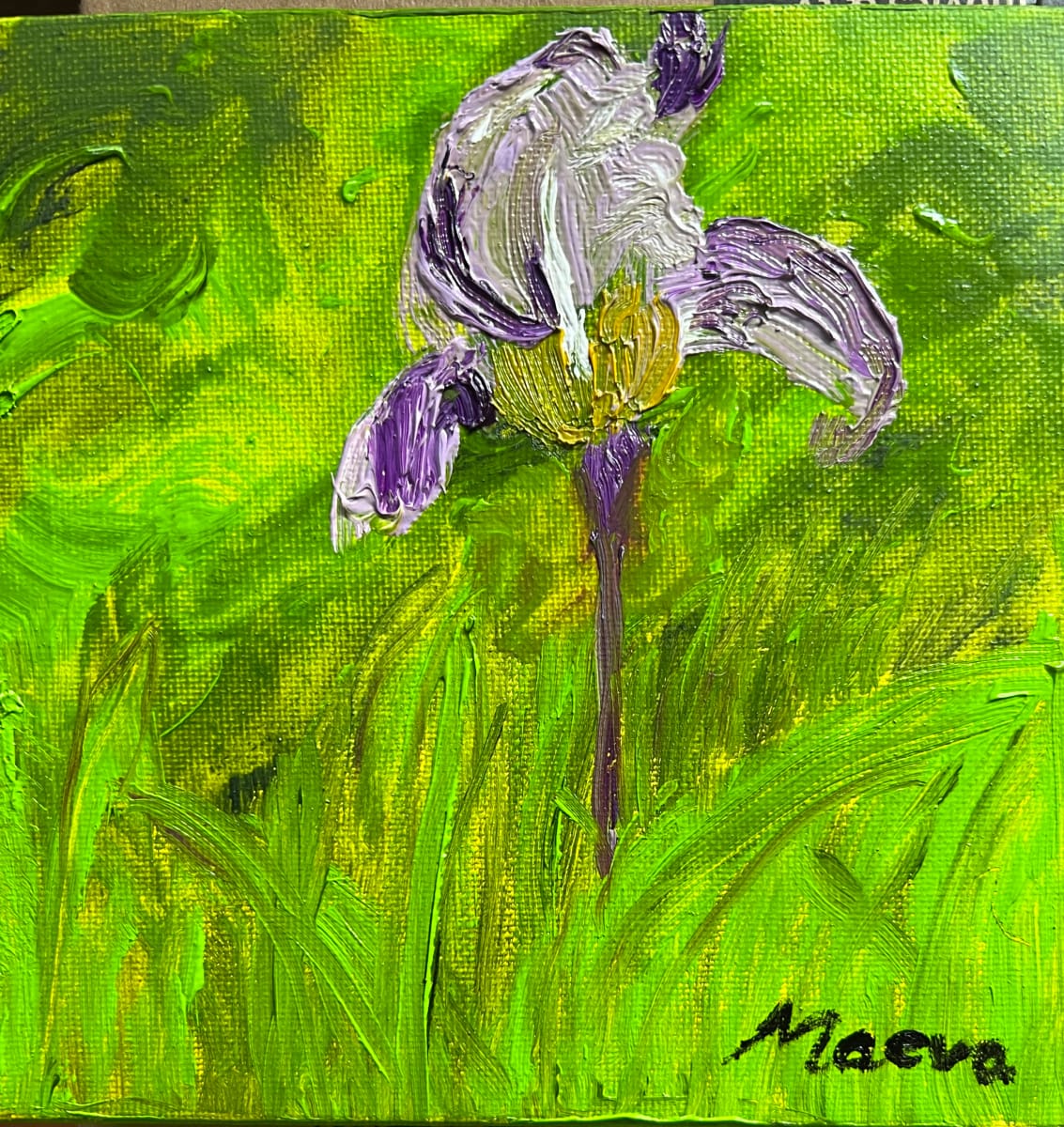 Iris in my Garden by Maeva Lightheart 