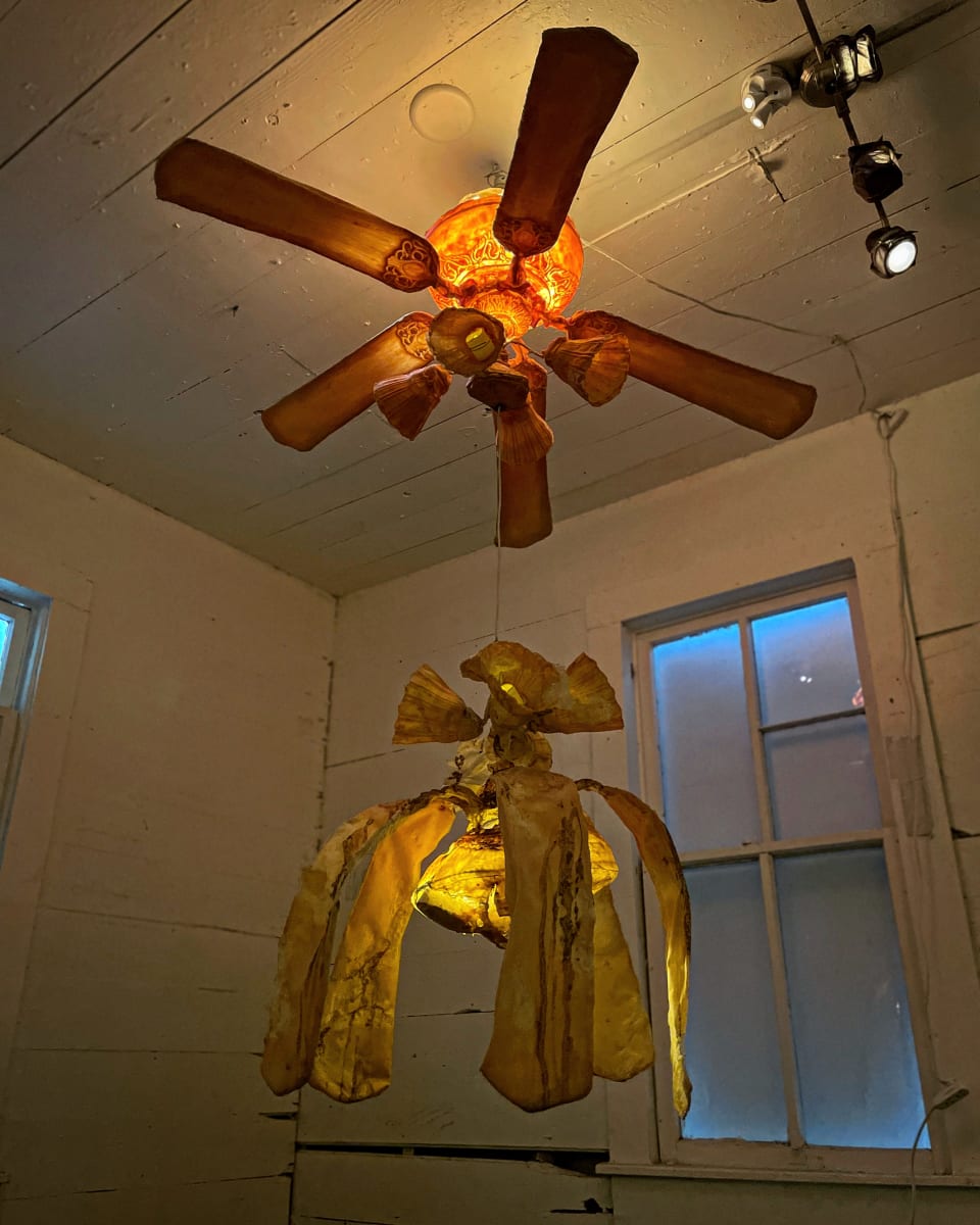 Floodplain|uᴉɐldpoolℲ: ceiling fan by Carlie Trosclair 