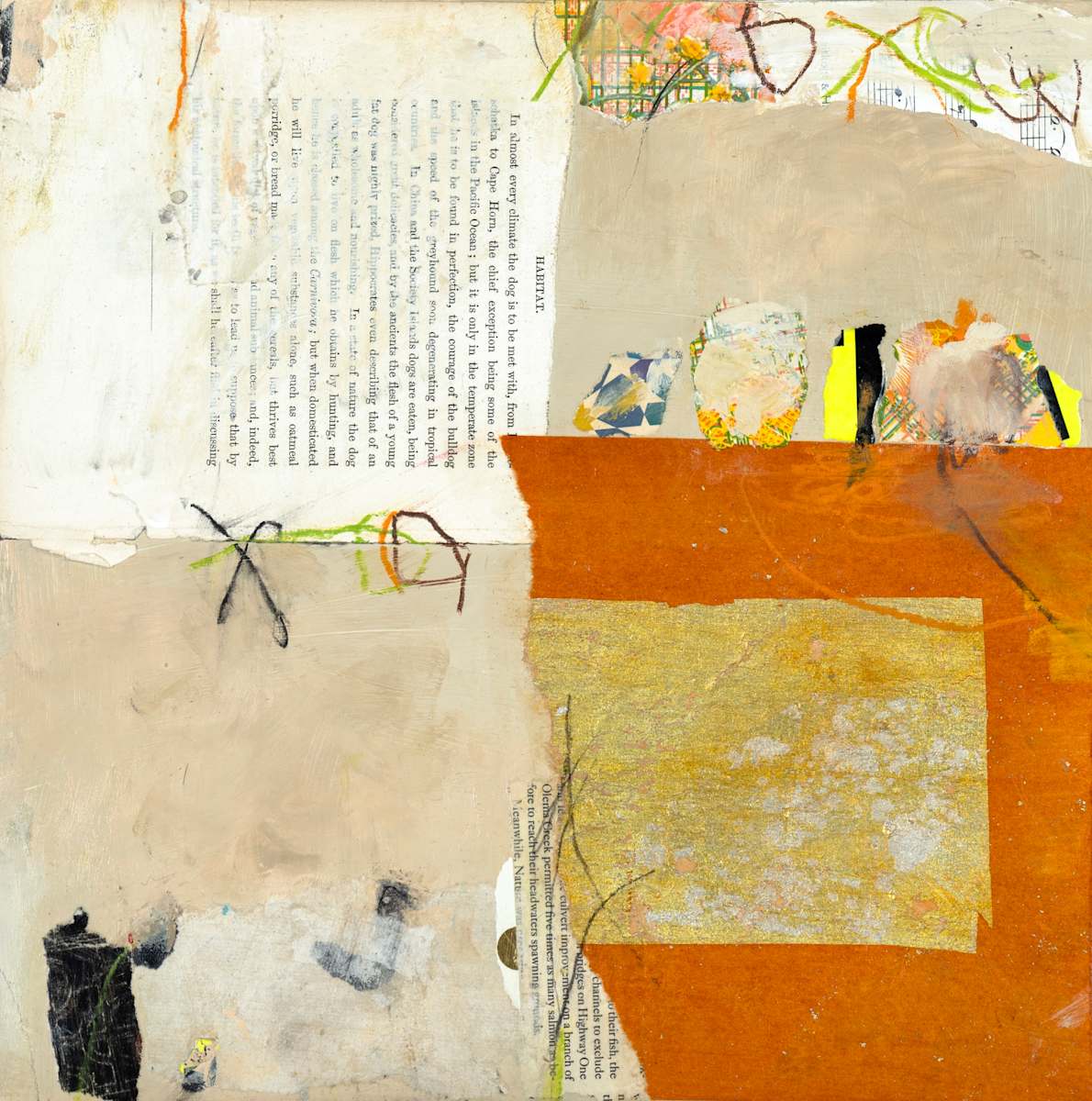 New Chapter by Helen S Cohen 