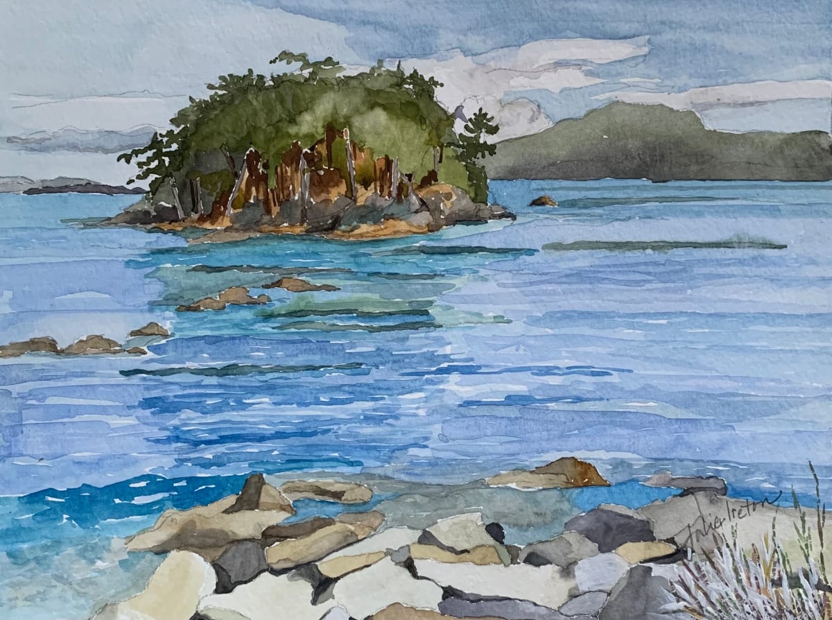 Georgeson Island by Julie Ireton  Image: View from Campbell Point, looking towards the island and beyond.