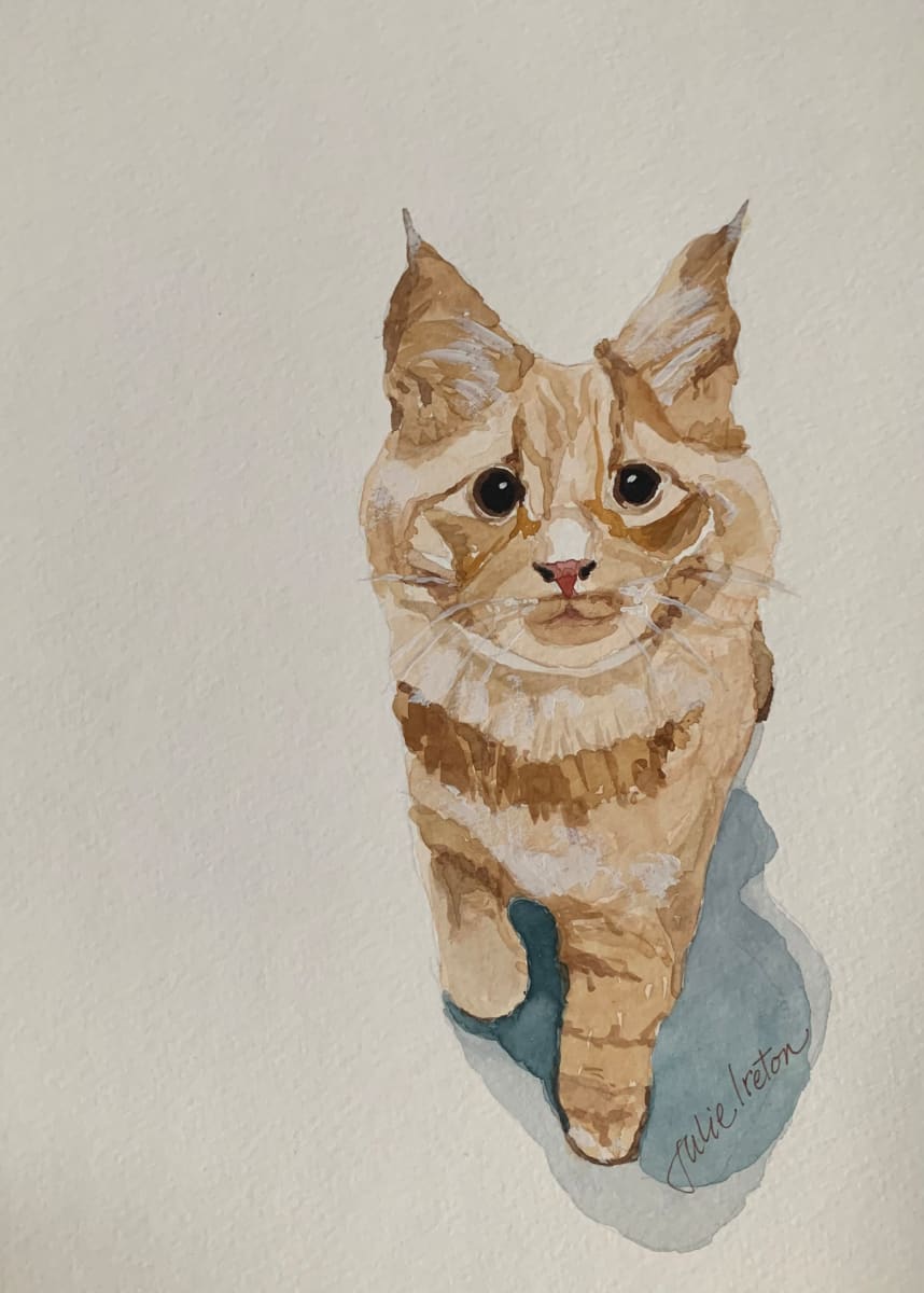 Phoenix the Cat by Julie Ireton  Image: This cute little kitten belongs to my athletic trainer. I fell in love with the photo she shared with me on her phone and asked if I could do a watercolour to capture the precious moment.
