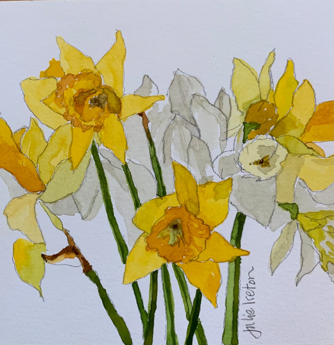 A Host of Golden Daffodils by Julie Ireton  Image: A spring bouquet of wild daffodils, picked earlier that day and casually arranged as the table’s centrepiece 