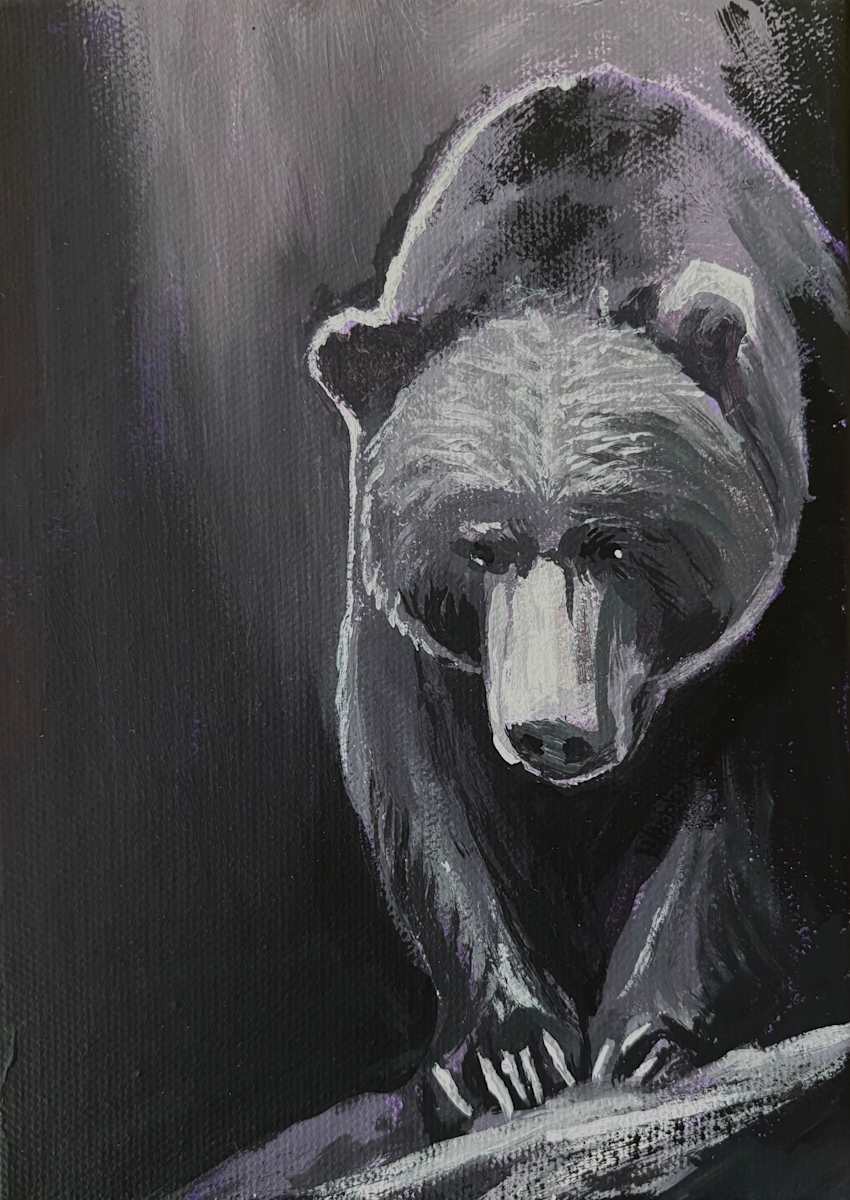 Among the Pines by Hunter Jay 