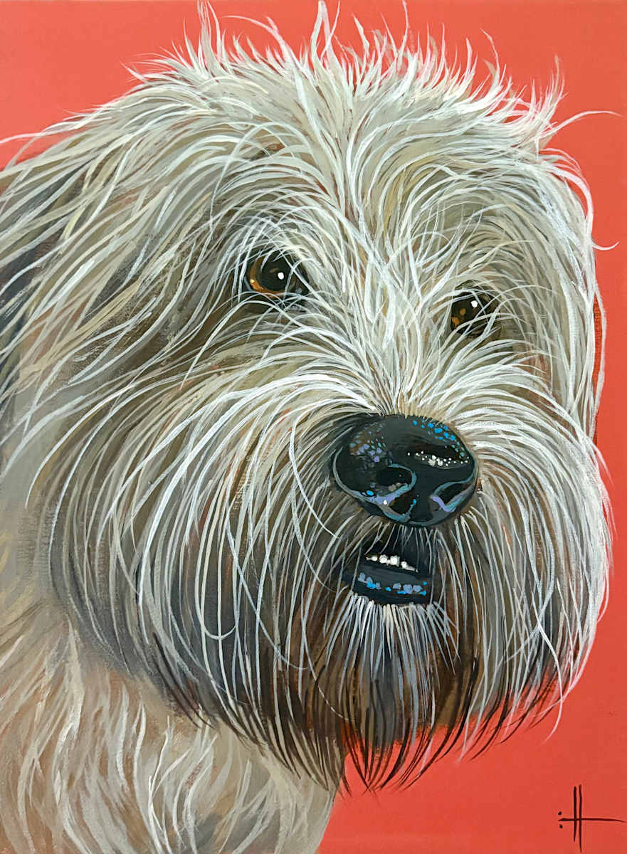 Harry by Hunter Jay, Image 1.