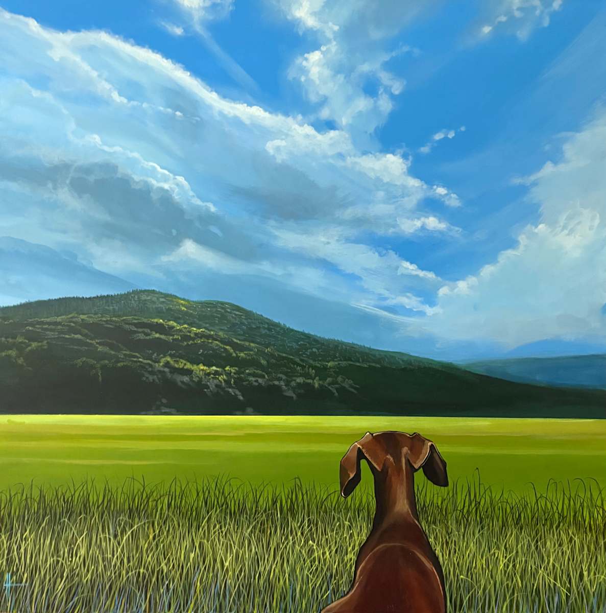 "How Green Was My Valley" by Hunter Jay, Image 1.