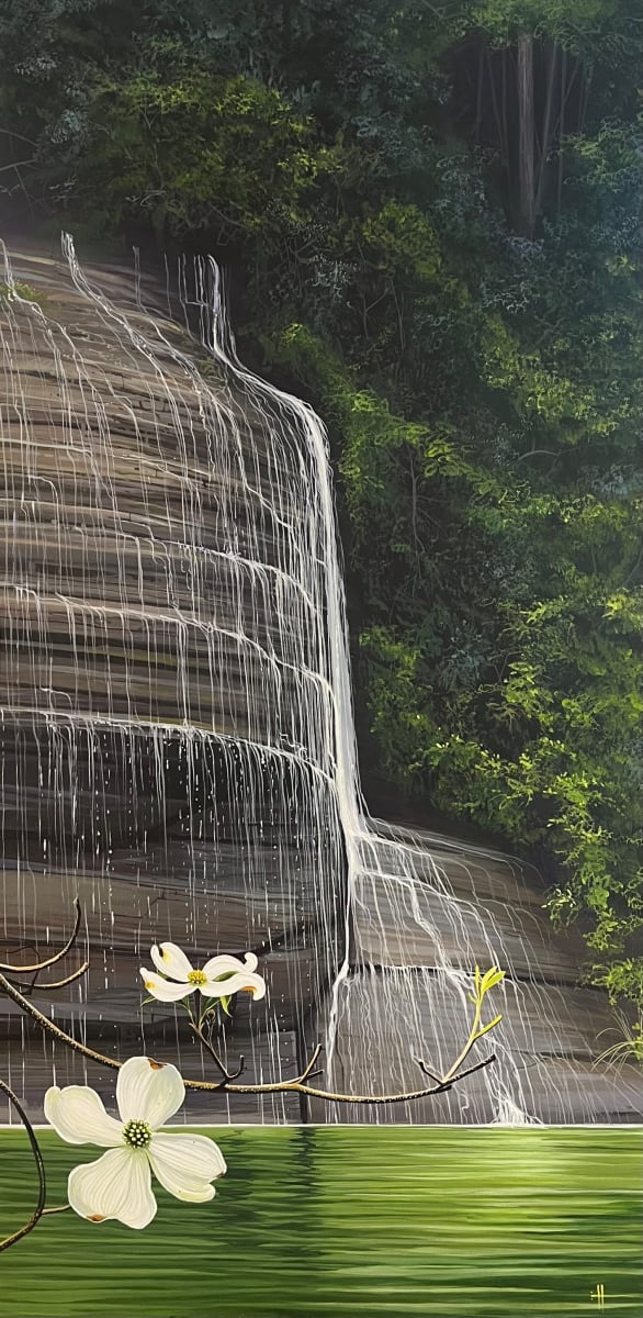 Cooper Falls by Hunter Jay, Image 1.