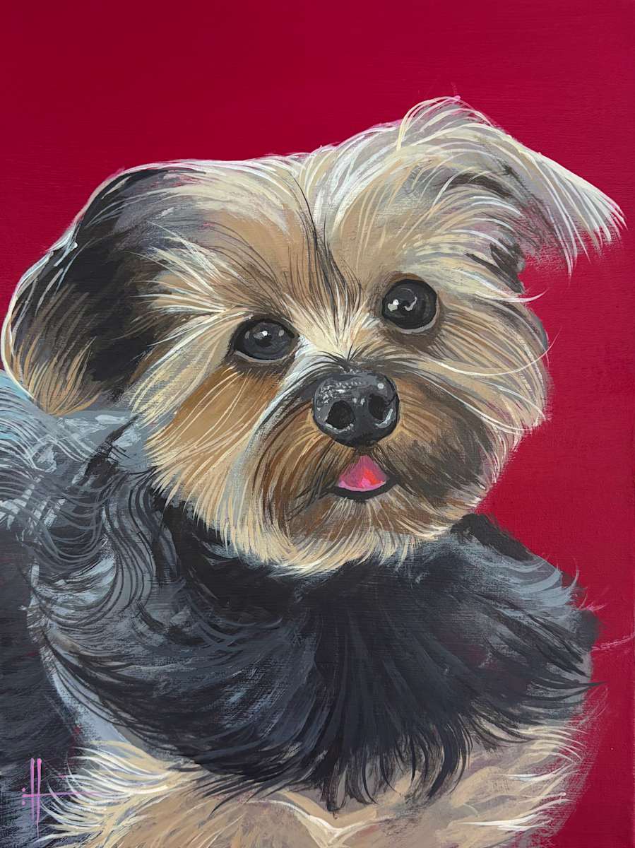 Ollie by Hunter Jay, Image 1.