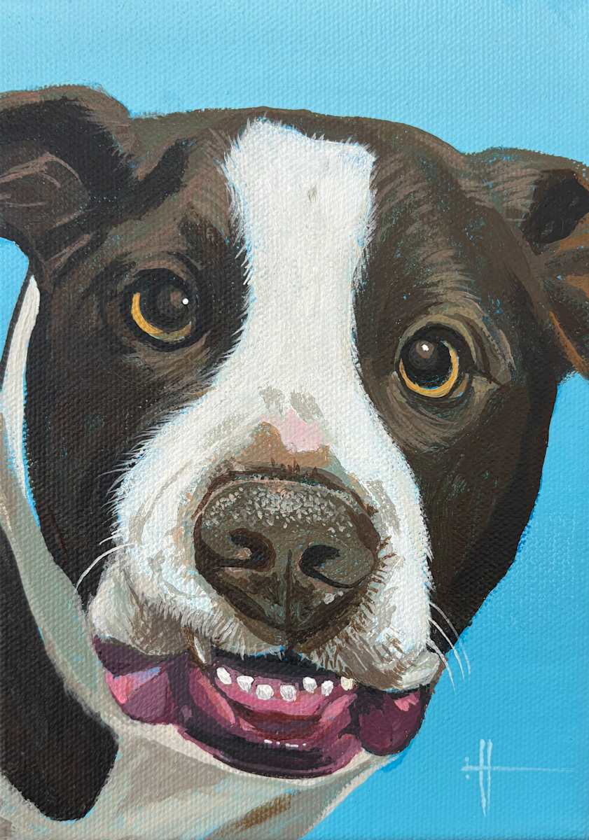 Brooks' Dog by Hunter Jay, Image 1.