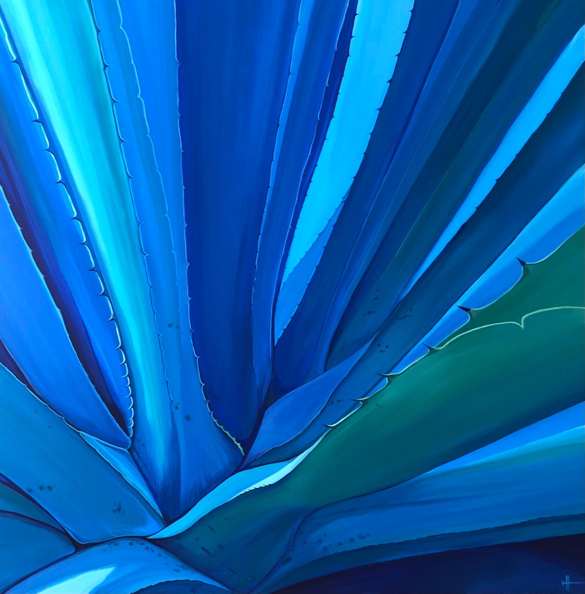 Agave Azul, Image 1.