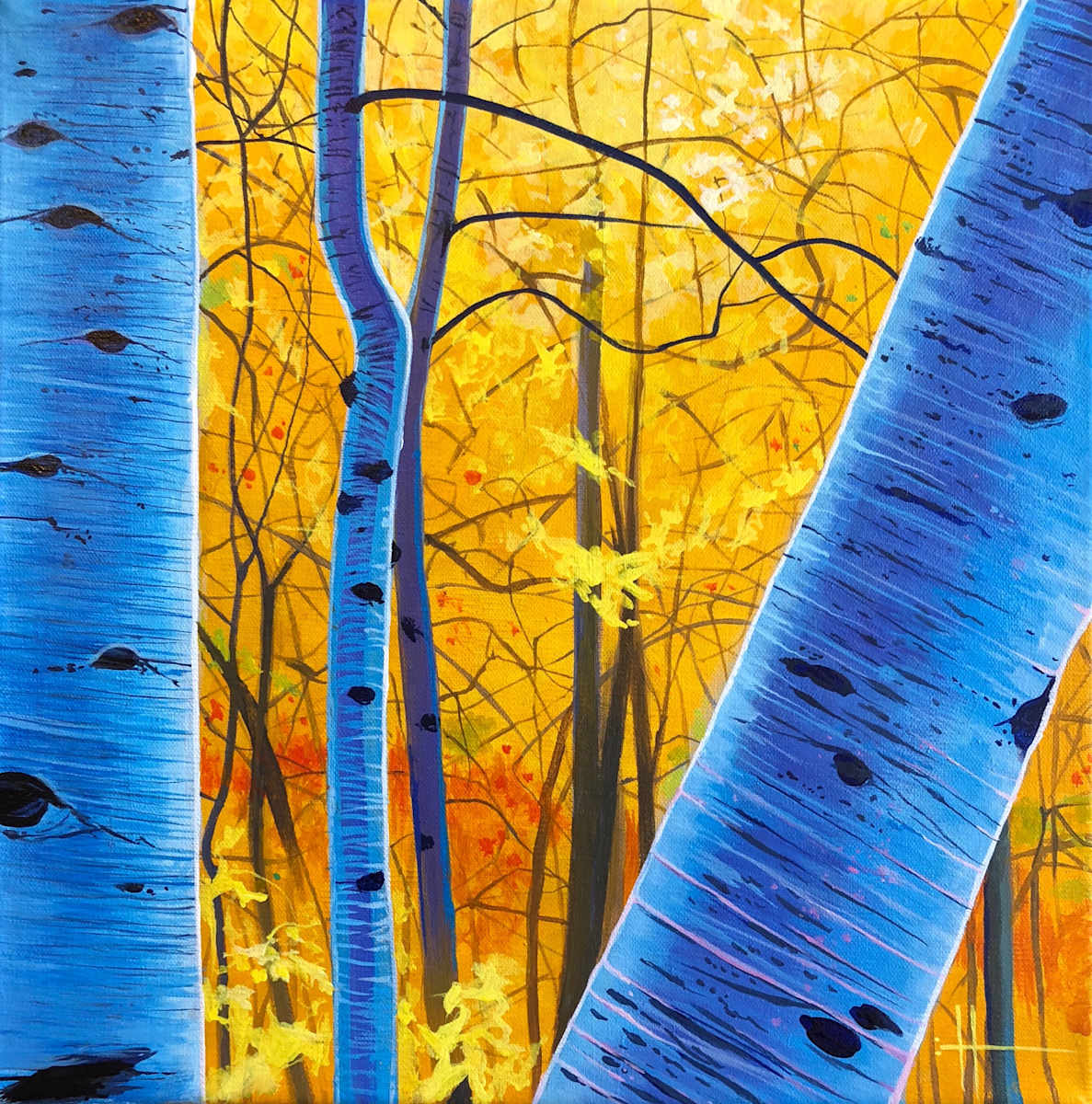 Tale of a Forest by Hunter Jay, Image 1.
