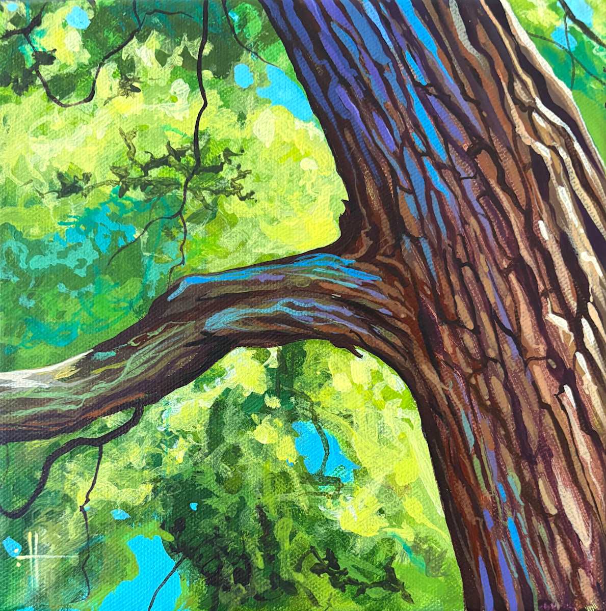 The Memory of Trees by Hunter Jay, Image 1.