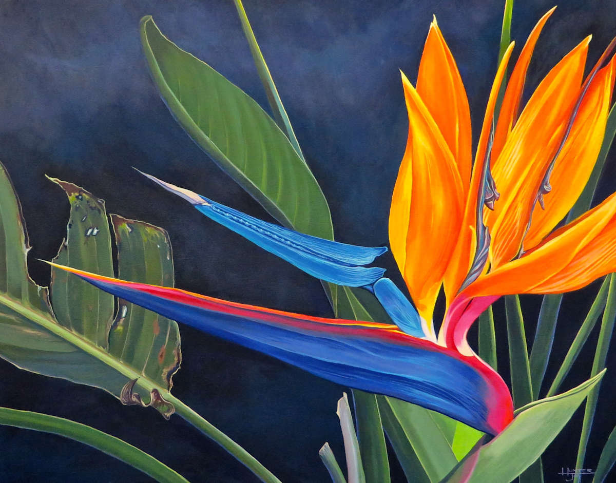 Tropicoso by Hunter Jay, Image 1.