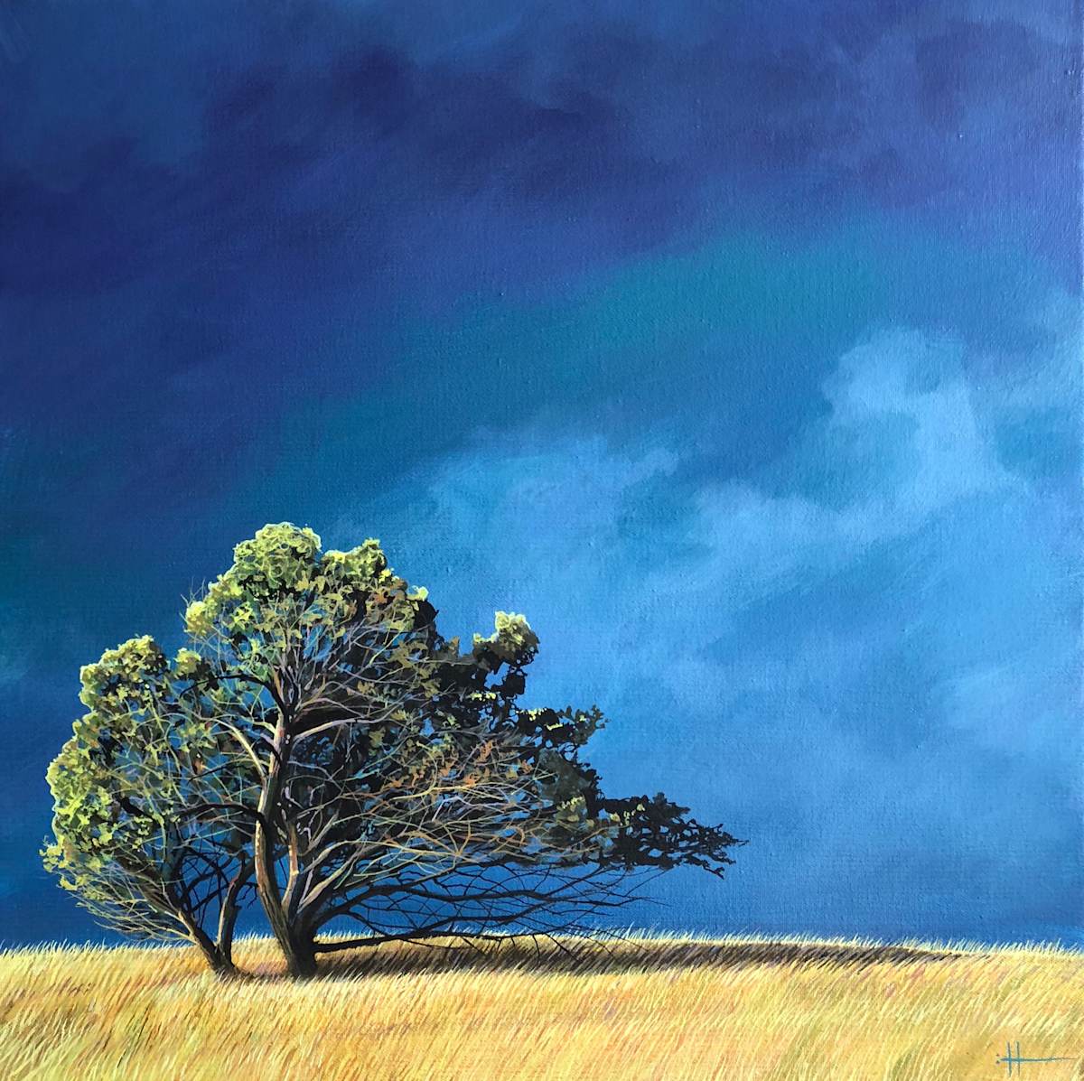 Whistle Down The Wind by Hunter Jay, Image 1.