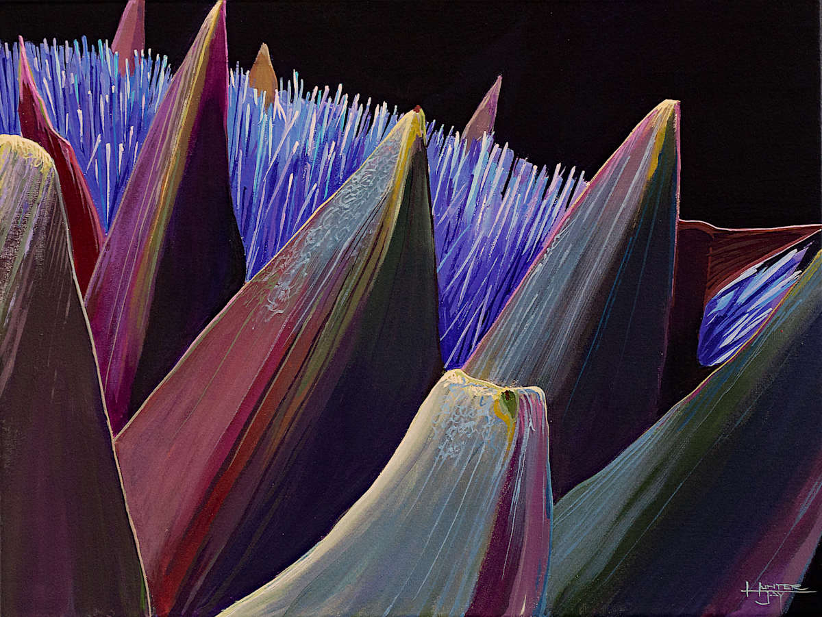 Wild Seed by Hunter Jay, Image 1.
