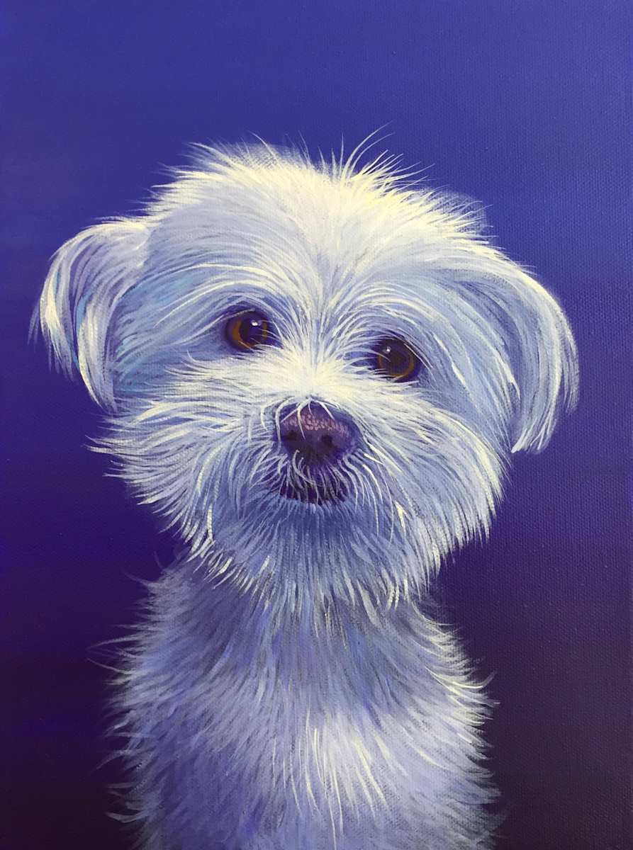 Brent Dog 2 by Hunter Jay, Image 1.