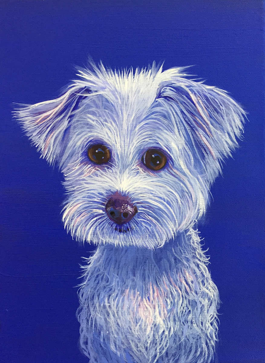 Brent Dog 1 by Hunter Jay, Image 1.