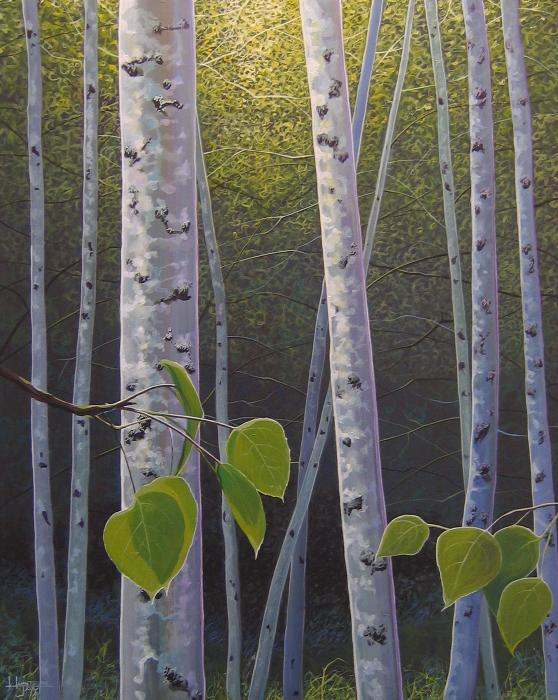 Light in the Forest by Hunter Jay, Image 1.