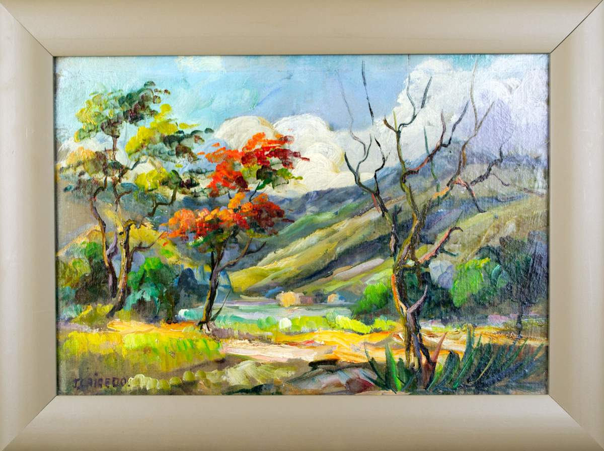 Valley Landscape by Jacinto R. Caicedo 