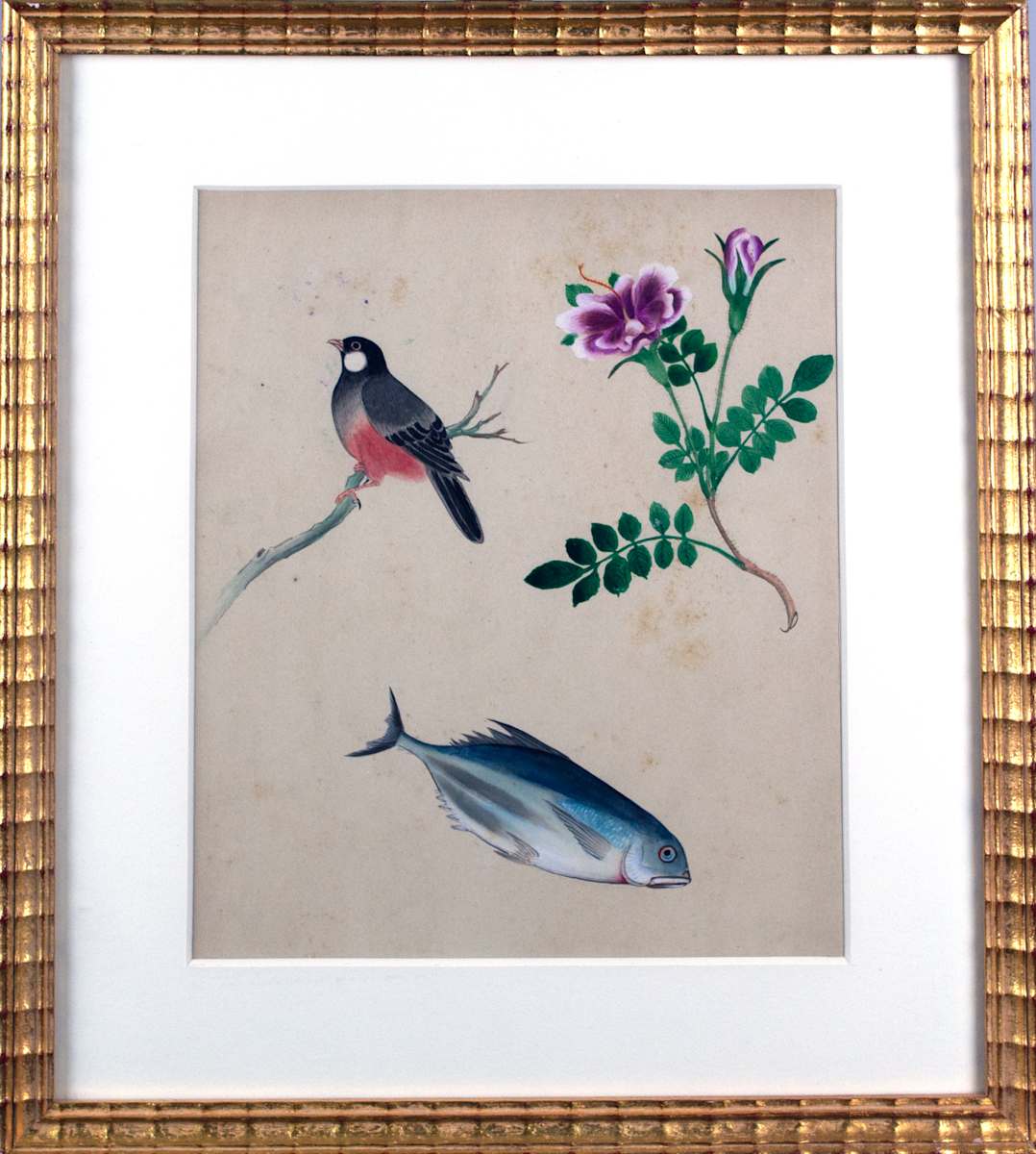 Study Of Bird, Flower And Fish by Unknown 