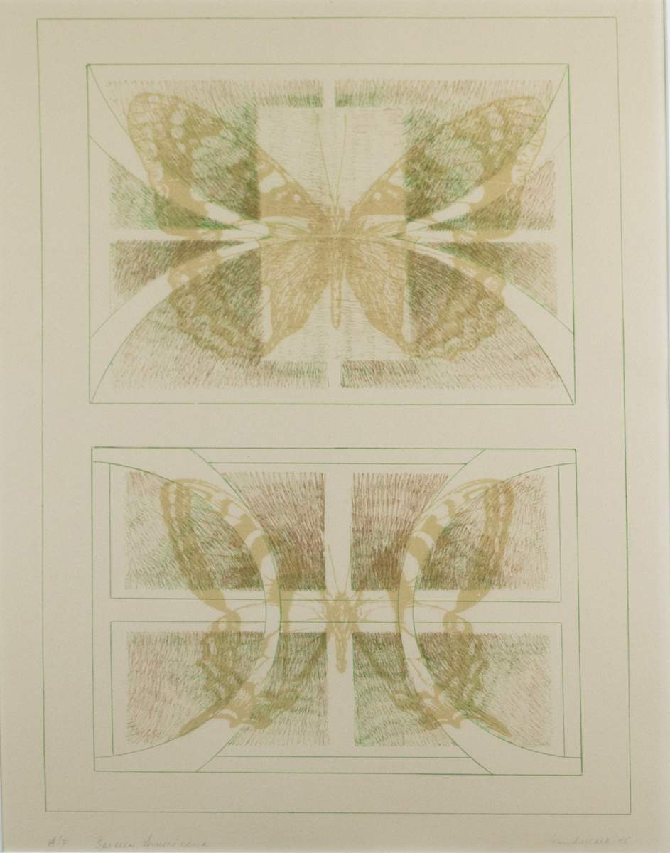 Species Americana by Enid Mark 