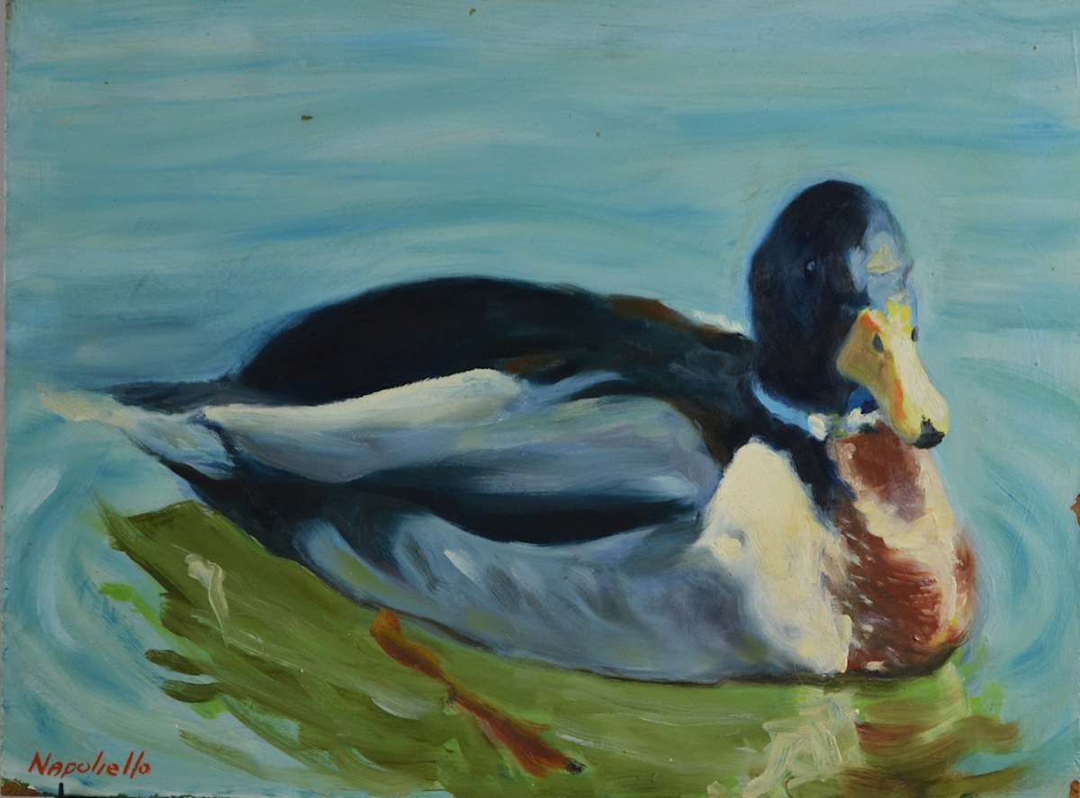 Duck In Water #8 by John Napoliello 