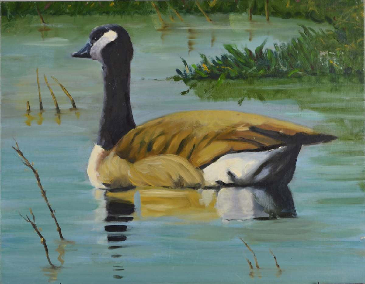 Goose In Water by John Napoliello 