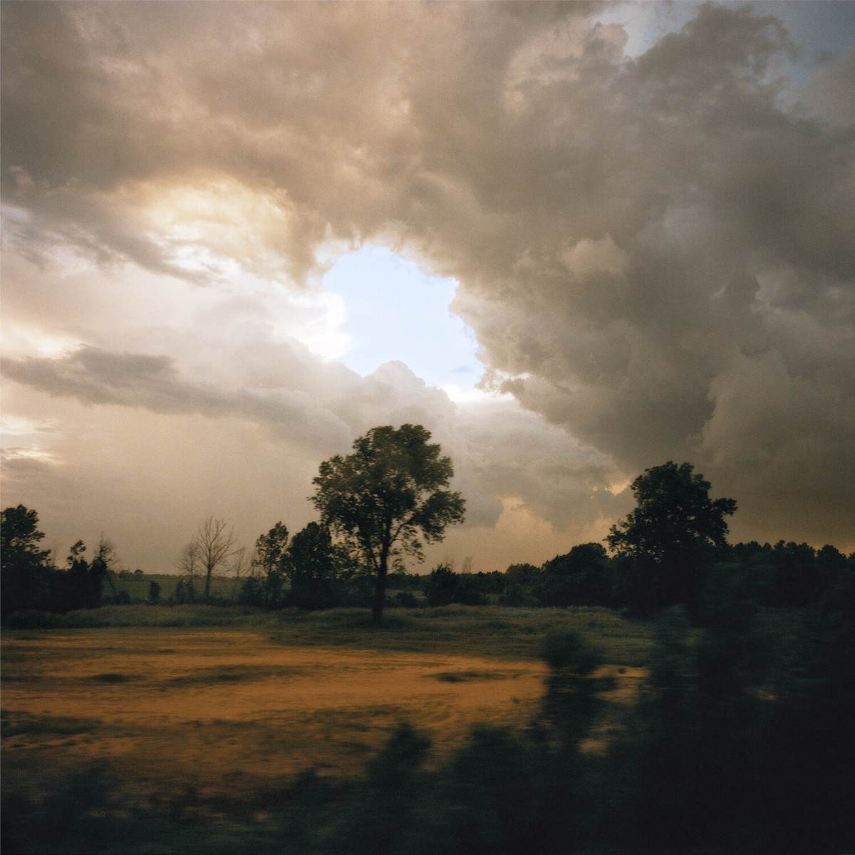 From An Amtrak Train, Louisiana, 1996 by Alen MacWeeney 