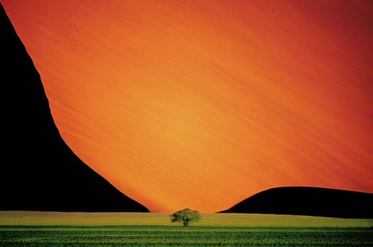 Sand Dune and Tree by Pete Turner 