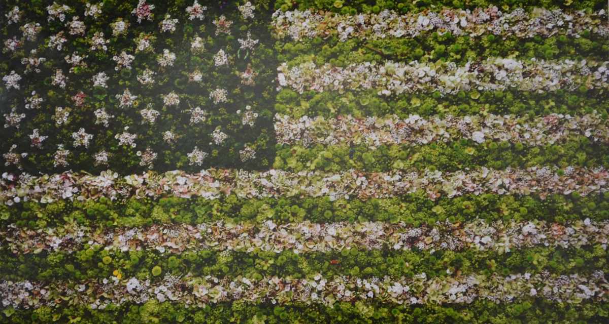 American Flag, 2009 by Vik Muniz, Image 1.