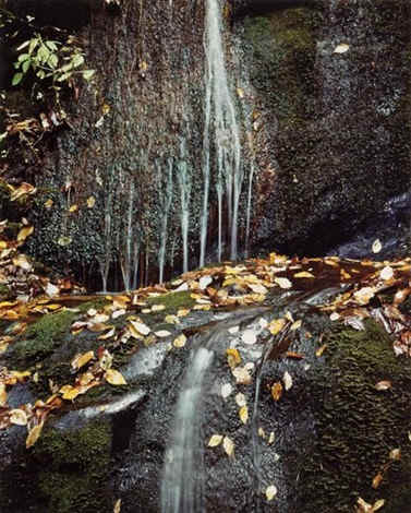 Waterfall, Hagavatn, Iceland, 1972 by Eliot Porter 
