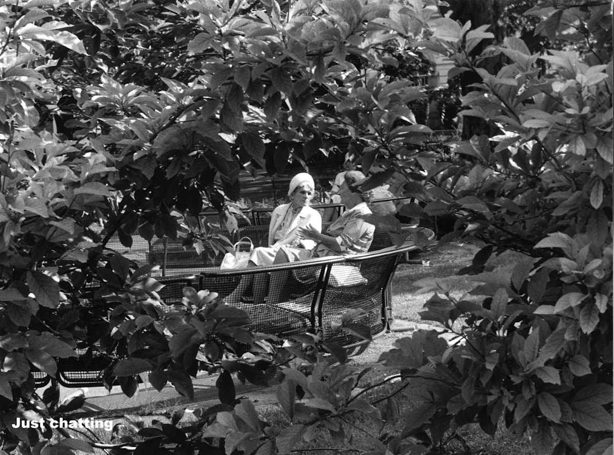 Just Chatting by Cardinal Prospero Grech 