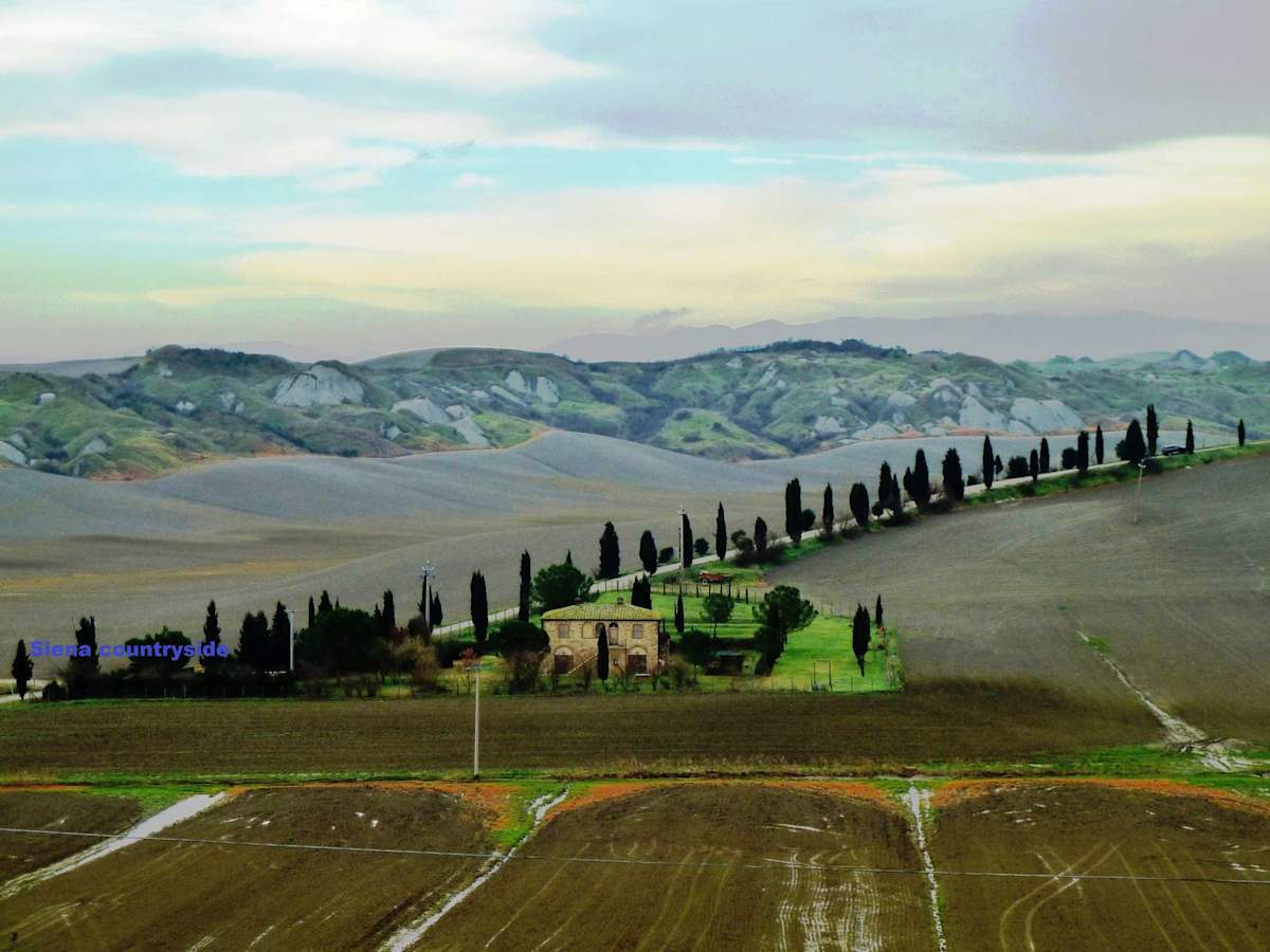 Siena Countryside by Cardinal Prospero Grech 