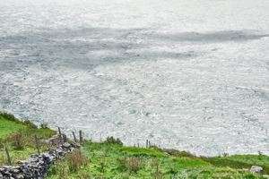 The Polished Sea V by Alen MacWeeney 