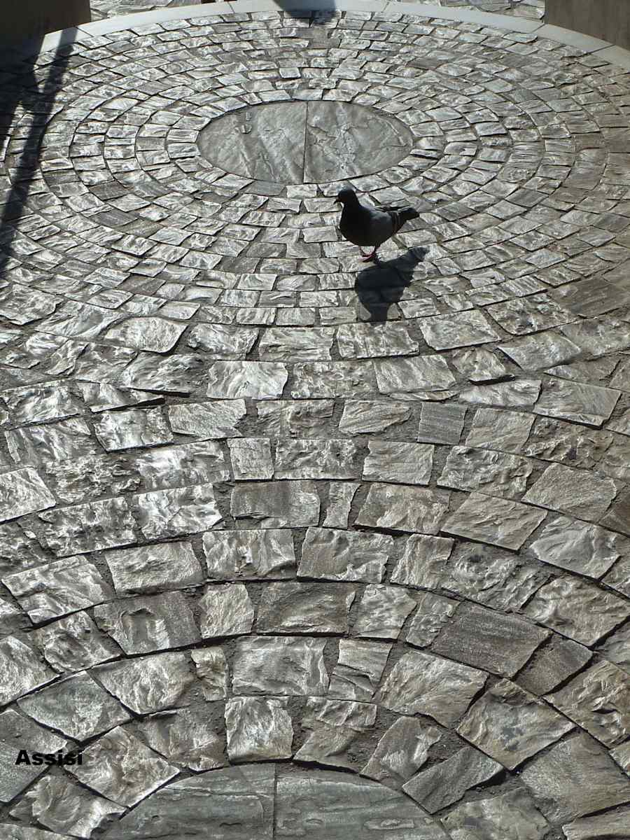 Assisi by Cardinal Prospero Grech 