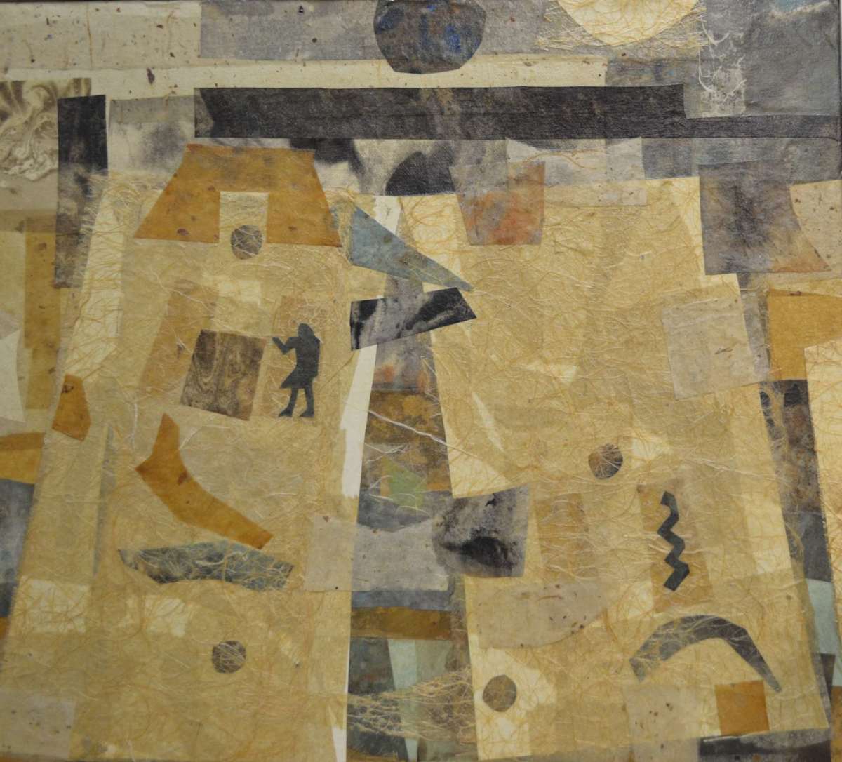 Investigation Of The Premature by Virgina D. Smith 