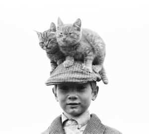Dan Flynn & His Cats, Labre Park, Dublin by Alen MacWeeney 