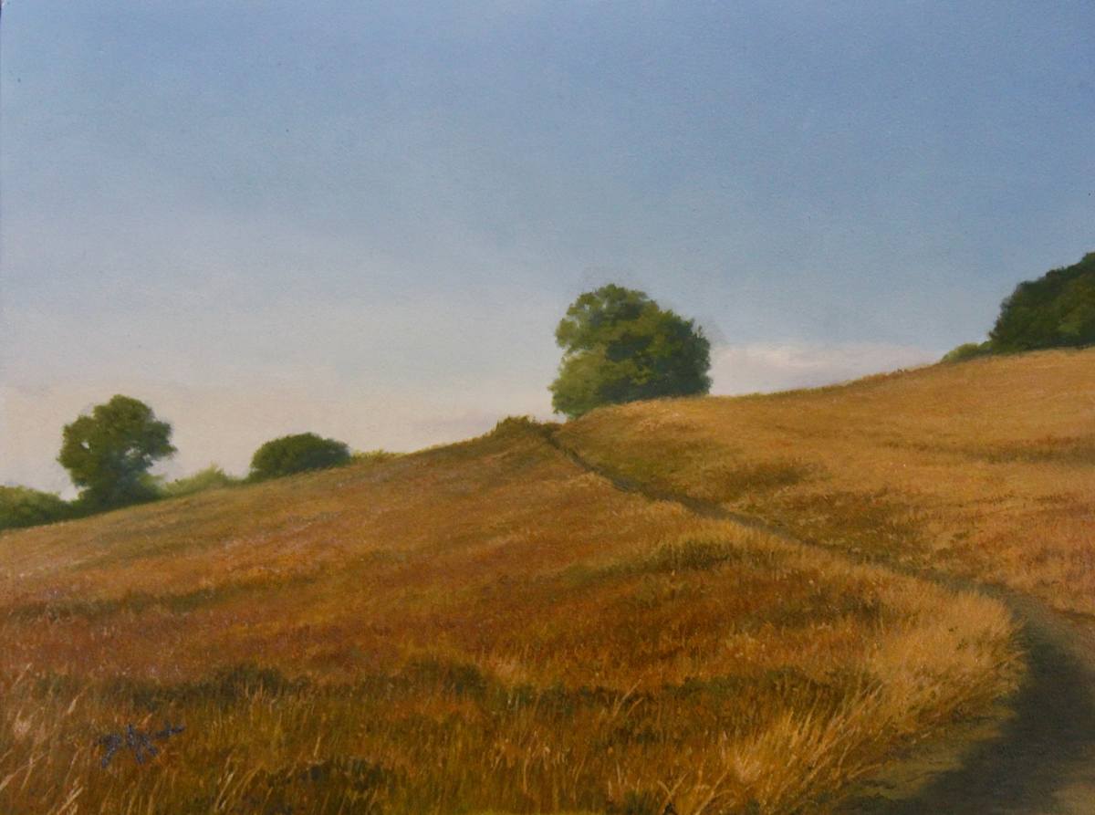 Carolina Path by David Kooharian  Image: Walking in the fields above Blowing Rock, NC.